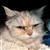 20250331 Hollie 1.jpeg
