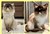 20250625 Harry C.jpg