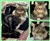 20260414 Gizmo C.jpg